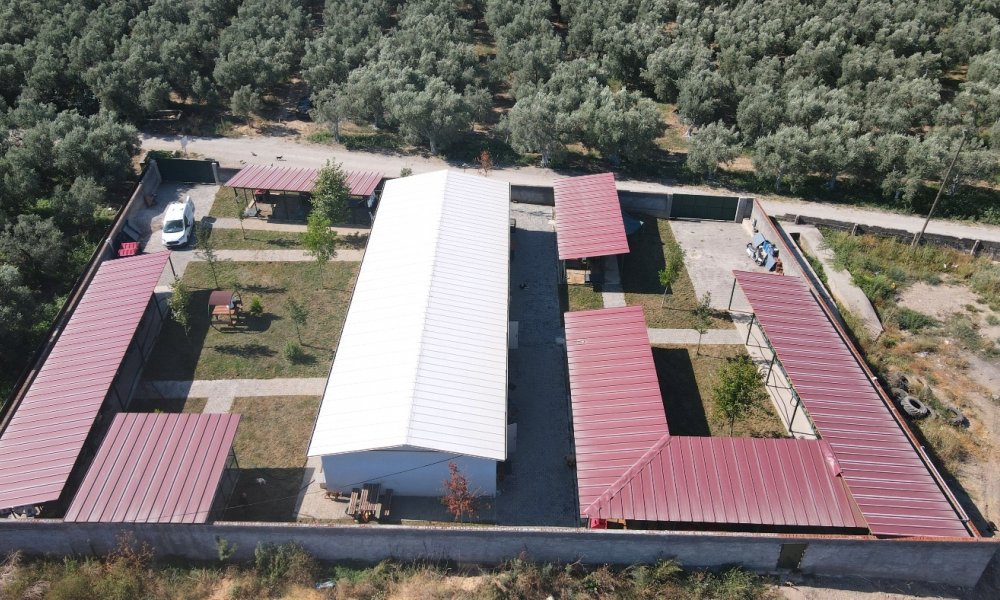 İZNİK BELEDİYESİ’NDEN SOKAK HAYVANLARINA TAM TEŞEKKÜLLÜ MERKEZ