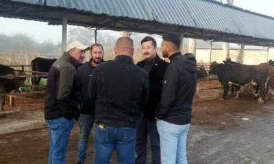 YENİŞEHİR HAYVAN PAZARI KAÇAK MI?